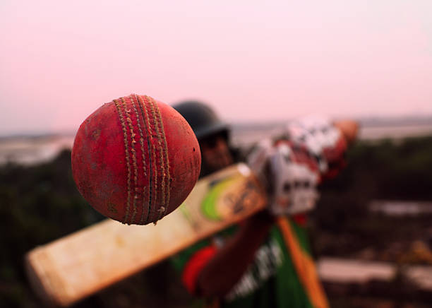 Cricket